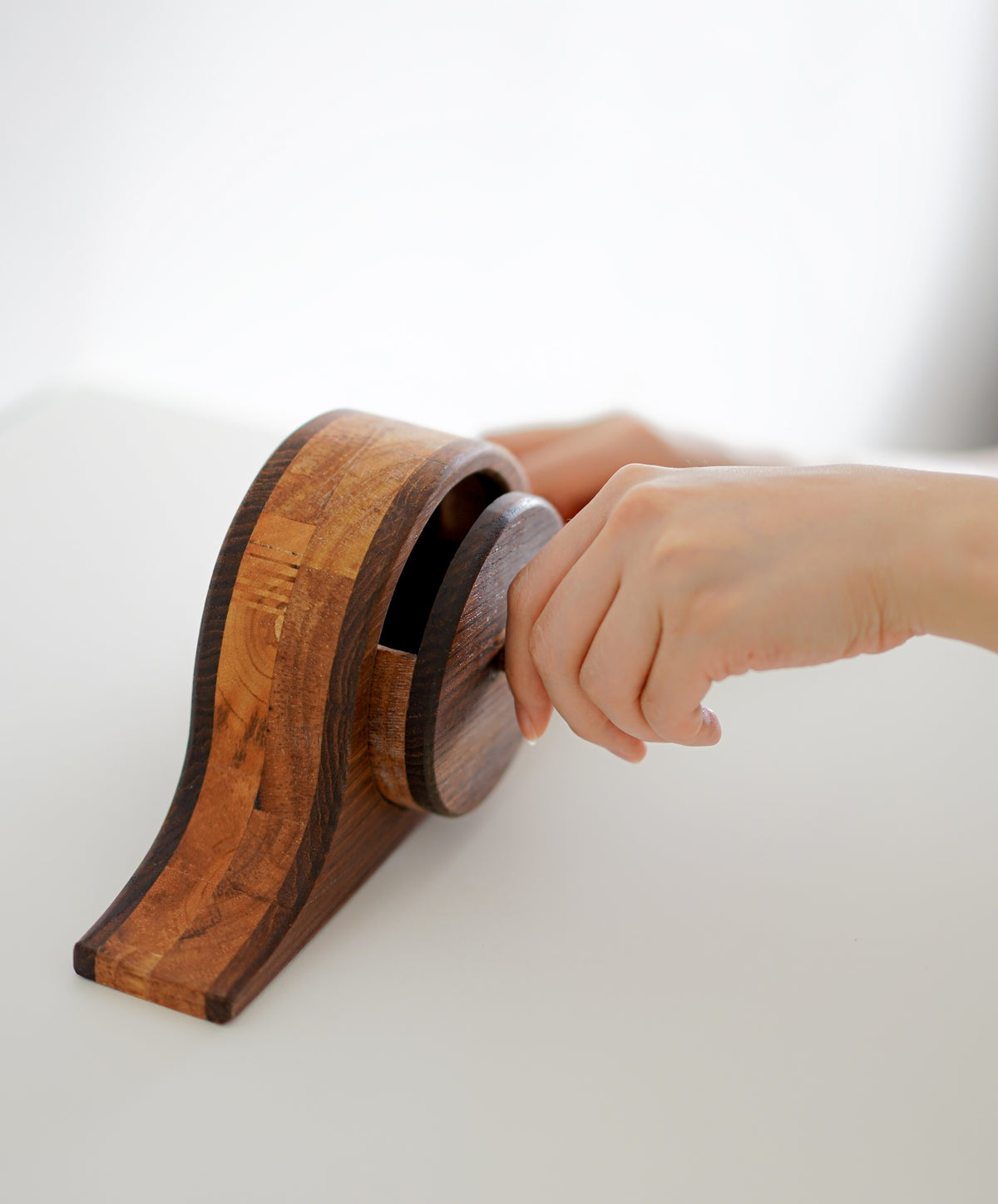 Bandsaw Box